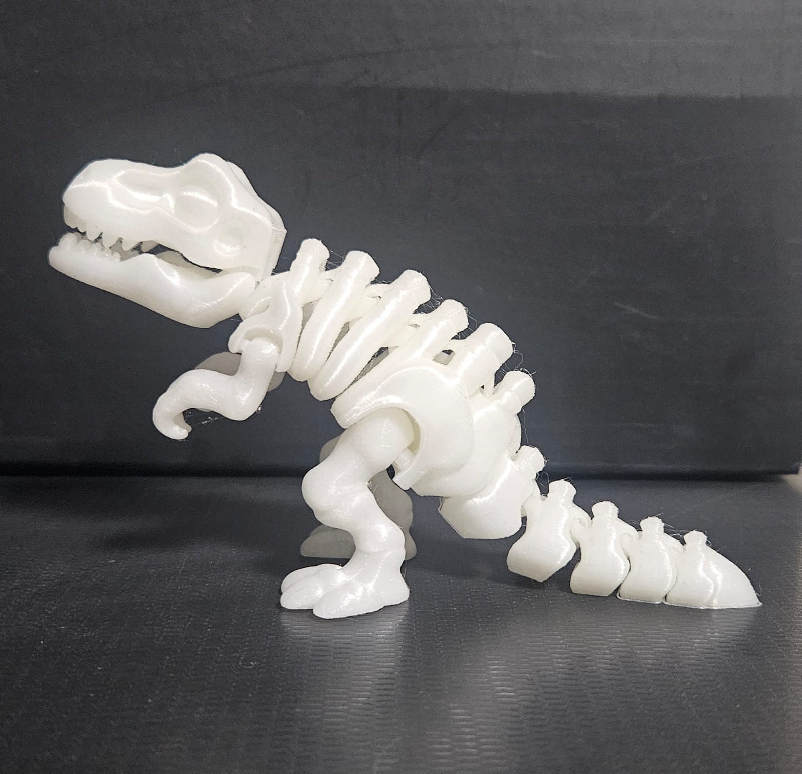 Esqueleto De Dinossauro Articulado Que Brilha No Escuro