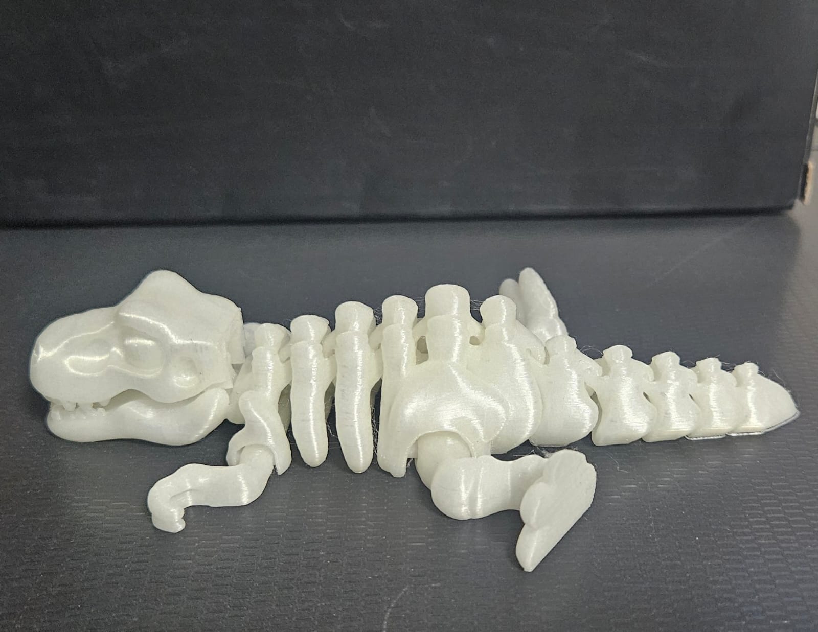 Esqueleto De Dinossauro Articulado Que Brilha No Escuro