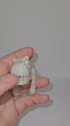 Esqueleto De Dinossauro Articulado Que Brilha No Escuro