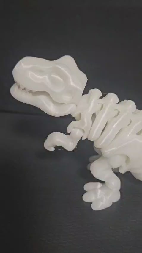 Esqueleto De Dinossauro Articulado Que Brilha No Escuro